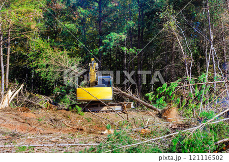When preparing land for construction, contractor uses an excavator to uproot trees 121116502