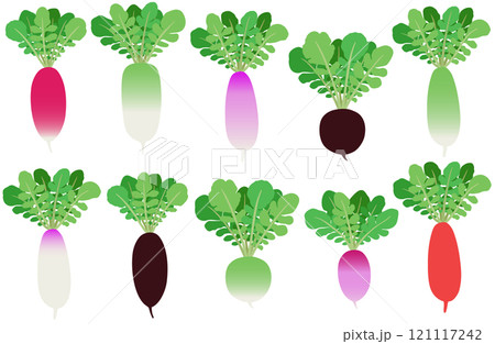 イラスト素材：ダイコン　カラフルなダイコンセット 121117242