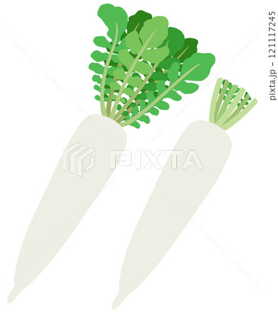 イラスト素材：ダイコン　葉付きダイコンと葉がないダイコンのセット 121117245