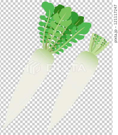 イラスト素材：ダイコン　葉付きダイコンと葉がないダイコンのセット 121117247