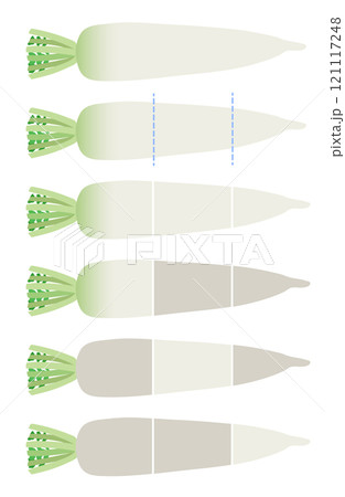 イラスト素材：ダイコン　ダイコンの部位 121117248