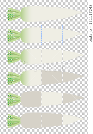 插畫素材：蘿蔔、蘿蔔部分 121117248
