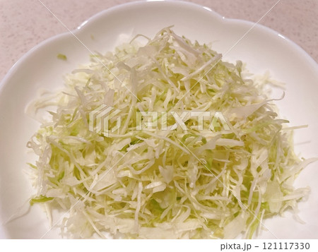 皿に入れたキャベツの千切り23 皿に入れたキャベツの千切り23 121117330