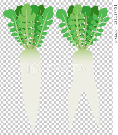 插畫資料：蘿蔔、帶葉子的蘿蔔和叉蘿蔔組 121117451