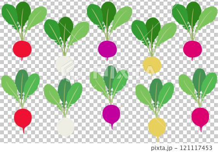 插畫素材:蘿蔔,多彩二十天蘿蔔套裝 插畫素材:蘿蔔,多彩二十天蘿蔔套裝 121117453