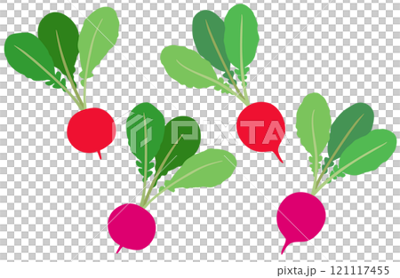 插畫素材:蘿蔔二十天蘿蔔套裝 插畫素材:蘿蔔二十天蘿蔔套裝 121117455