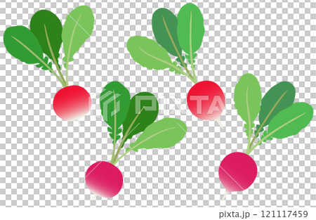 插畫素材：蘿蔔二十天蘿蔔套裝 121117459