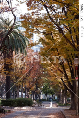 大阪市西区の色づく靭公園 大阪市西区の色づく靭公園 121117693