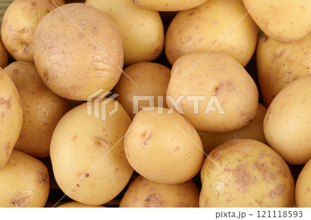 Full frame of washed unpeeled baby potato tubers as background. 121118593
