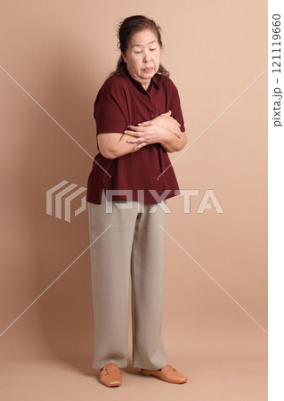 Senior East Asian Woman Senior East Asian Woman 121119660