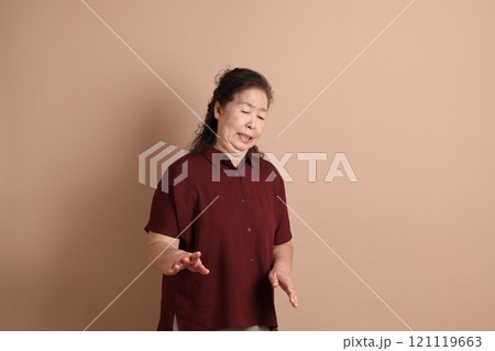 Senior East Asian Woman Senior East Asian Woman 121119663