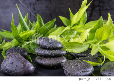 Spa black background: Black massage stones with waterdrops and bamboo on a black background 121120000