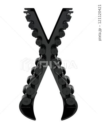 Gym Dumbbell rack in X shape, a stand for weightlifting gym equipment Gym Dumbbell rack in X shape, a stand for weightlifting gym equipment 121120421