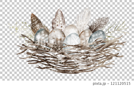 Watercolor illustration of a bird nest with eggs. Hand-drawn design symbolizing the renewal of life during spring, perfect for Easter cards or nature-themed invitations. 121120515