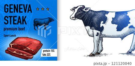 Sirloin steak banner in Vintage style. Hand drawn Cow poster. Farm cattle bulls. Slice of meat 121120840