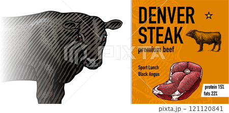 Sirloin steak banner in Vintage style. Hand drawn Cow poster. Farm cattle bulls. Slice of meat 121120841