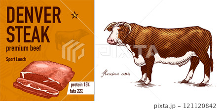 Sirloin steak banner in Vintage style. Hand drawn Cow poster. Farm cattle bulls. Slice of meat 121120842