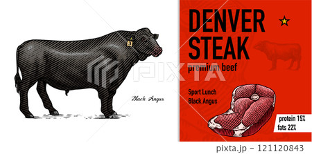 Sirloin steak banner in Vintage style. Hand drawn Cow poster. Farm cattle bulls. Slice of meat 121120843
