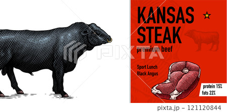 Sirloin steak banner in Vintage style. Hand drawn Cow poster. Farm cattle bulls. Slice of meat 121120844