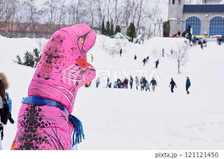 恐竜コスプレ 121121450