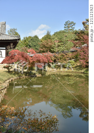 秋の高台寺　臥龍池とモミジと開山堂【重文】 121121923