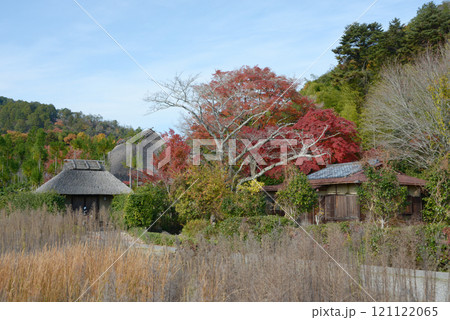 奥嵯峨　紅葉と茅葺民家　京都市右京区嵯峨 121122065