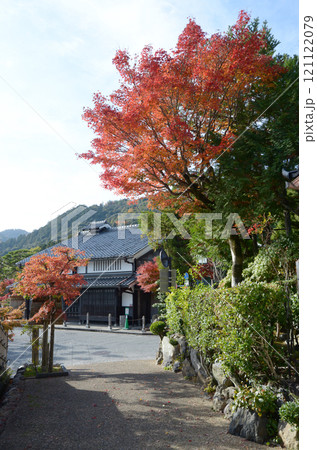 奥嵯峨 愛宕山参道の紅葉 京都市右京区嵯峨 奥嵯峨 愛宕山参道の紅葉 京都市右京区嵯峨 121122079