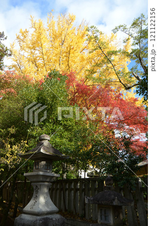 北野天満宮 境内の紅葉 京都市上京区 北野天満宮 境内の紅葉 京都市上京区 121122156