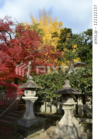 北野天満宮 境内の紅葉 京都市上京区 北野天満宮 境内の紅葉 京都市上京区 121122157