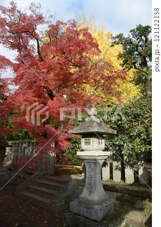 北野天満宮 境内の紅葉 京都市上京区 北野天満宮 境内の紅葉 京都市上京区 121122158