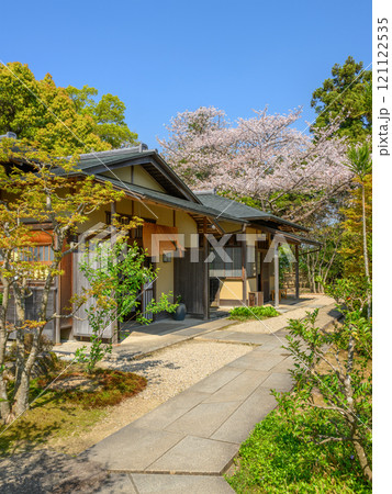 桜咲く掛川城二の丸茶室 121122535