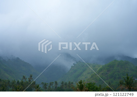 A tropical rainstorm in a rice field with cascading mountains and palm trees. 121122749