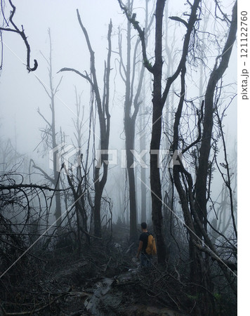 A man with a yellow backpack climbs a mountain in the jungle in a cloud during a storm. Forest in the fog of broken trees, palm trees and branches after a volcanic eruption. 121122760