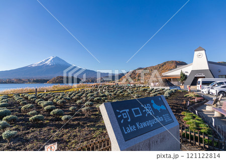 「山梨県」富士山と河口湖自然生活館の大石公園 「山梨県」富士山と河口湖自然生活館の大石公園 121122814