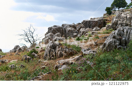 Rocky landscape with vegetation under a cloudy sky Rocky landscape with vegetation under a cloudy sky 121122975
