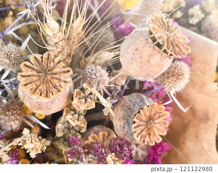 Bouquet of dried flowers, traditional dried plants Bouquet of dried flowers, traditional dried plants 121122980