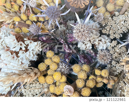 Bouquet of dried flowers, traditional dried plants Bouquet of dried flowers, traditional dried plants 121122981