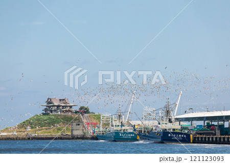 「青森県」ウミネコ繁殖地蕪島と八戸第一魚市場漁港　八戸市 121123093