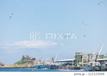 「青森県」ウミネコ繁殖地蕪島と八戸第一魚市場漁港　八戸市 121123099