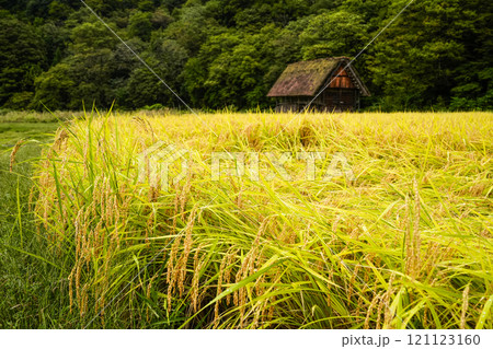 秋の白川郷 121123160