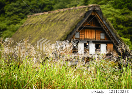 秋の白川郷 121123288