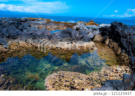 Hawaii coast tidepools - Mau 121123437
