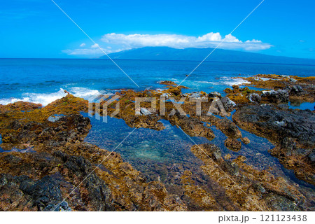 Tide pools on the coast of Maui, Hawaii 121123438