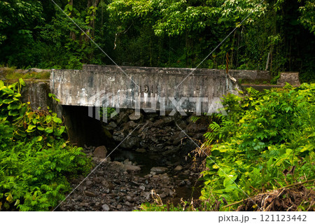 Old Bridge on the Road To Hana, Maui, Hawaii 121123442