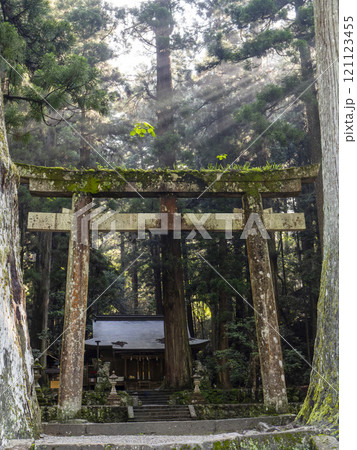 植物が生えた室生龍穴神社の鳥居 植物が生えた室生龍穴神社の鳥居 121123455