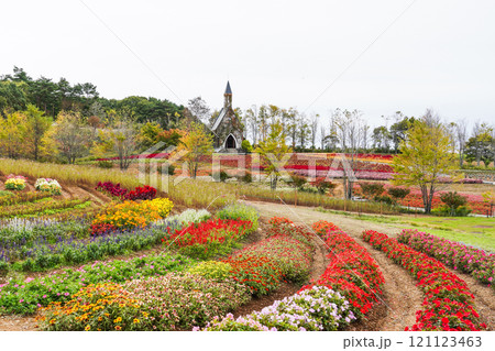 秋を迎えた(牧歌の里) 秋を迎えた(牧歌の里) 121123463