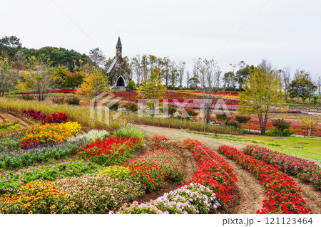 秋を迎えた（牧歌の里） 121123464