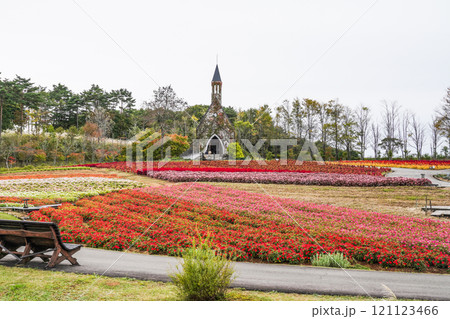 秋を迎えた（牧歌の里） 121123466