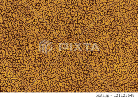 Gold colored fabric material short haired fluffy and soft texture background. Close-up of colour surface cloth material, colored abstract background fabric texture, free copy space for creative design 121123649