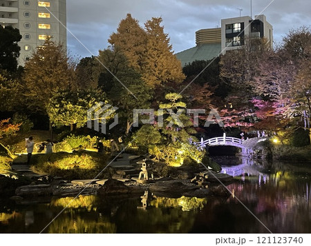 水面に映る紅葉夜景 121123740